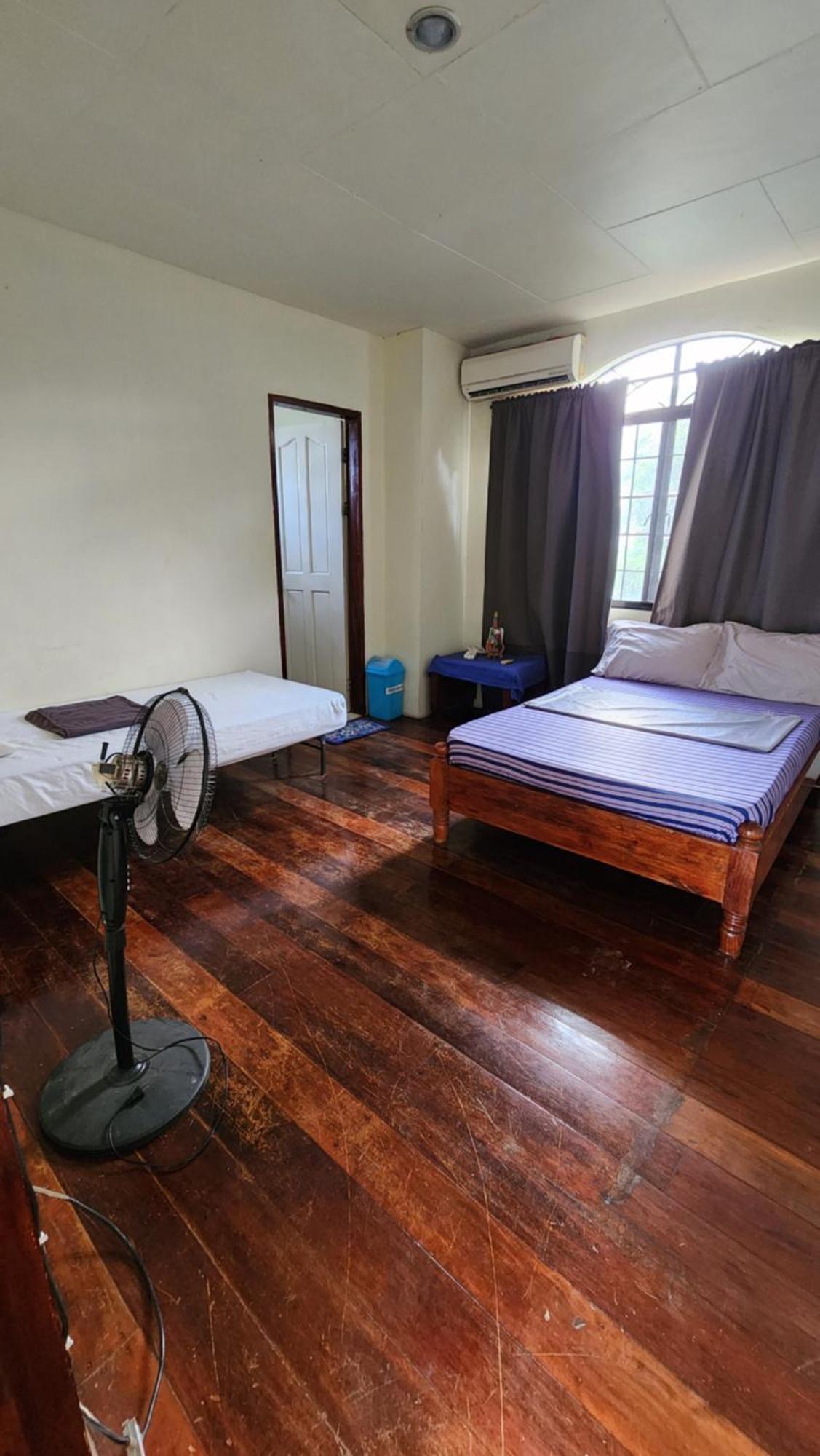 Screaming Gecko Hostel 부수안가 외부 사진