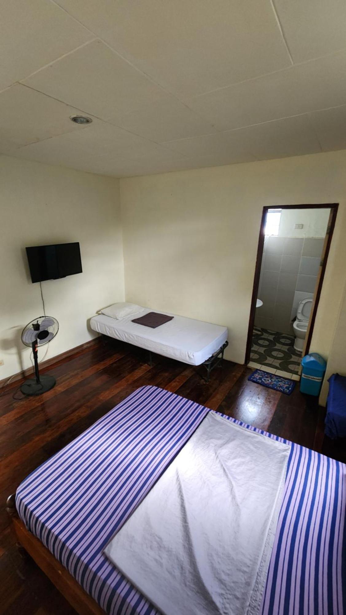 Screaming Gecko Hostel 부수안가 외부 사진
